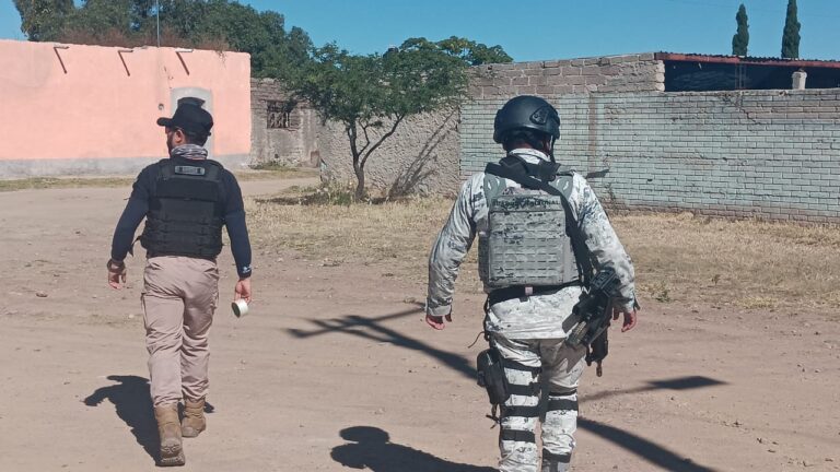 Realizan búsquedas en cuatro municipios