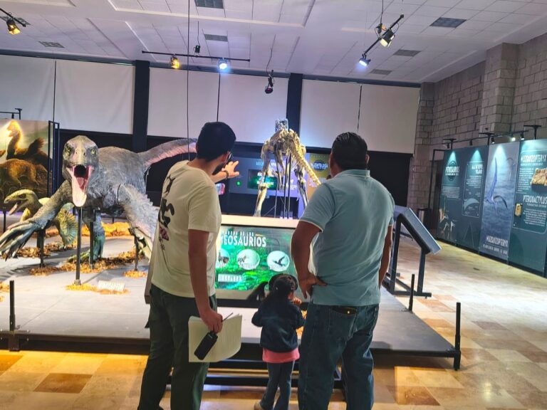 Interactúan visitantes con réplicas de lajas fósiles