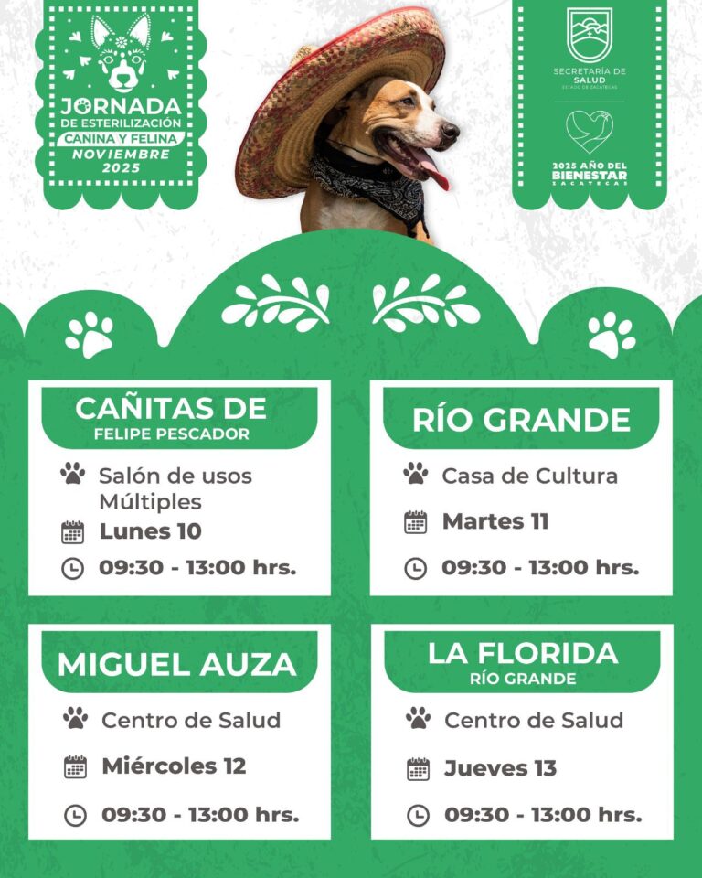 Realizan campaña de esterilización en el norte del estado