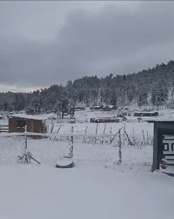 Cae la primera nevada de la temporada invernal en “El Congelador de México”