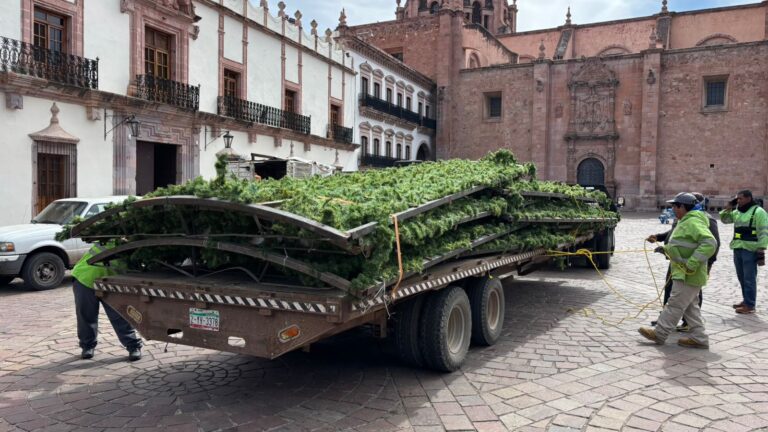 Llegan decoraciones navideñas al Centro Histórico