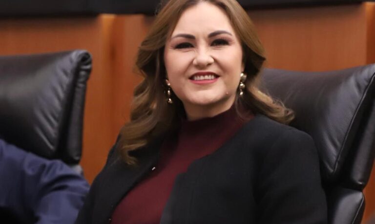 Llama senadora a homologar la tipificación de la violencia vicaria