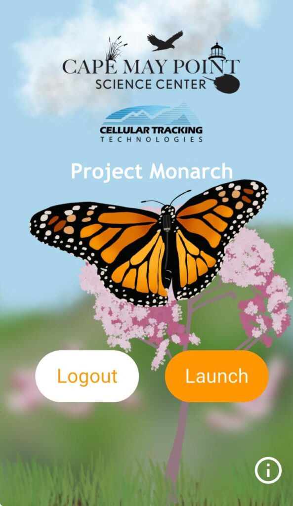 Mariposas Monarca cruzan el cielo zacatecano