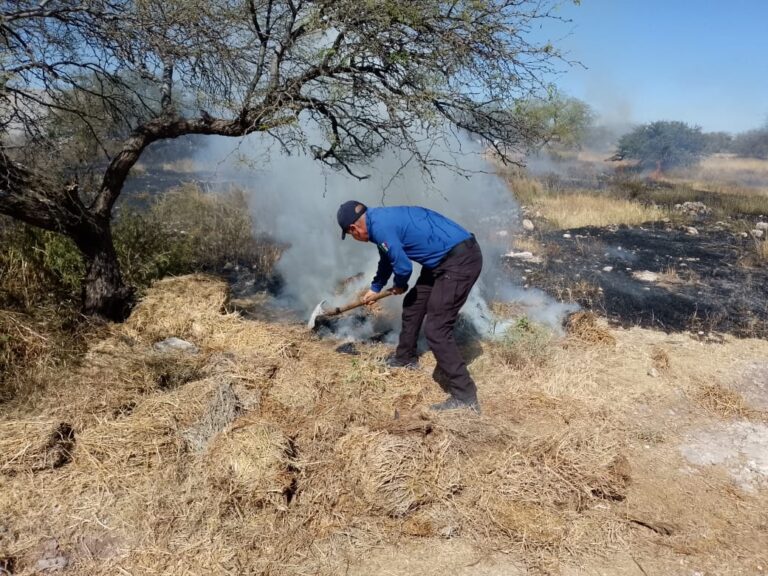 Sofocan incendio de hierba seca en Fresnillo