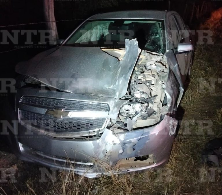 Abandona su auto después de impactarse contra un animal