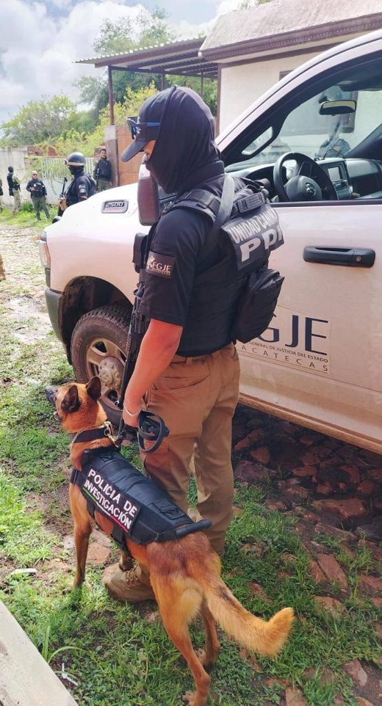 Dona EUA can para detección de explosivos