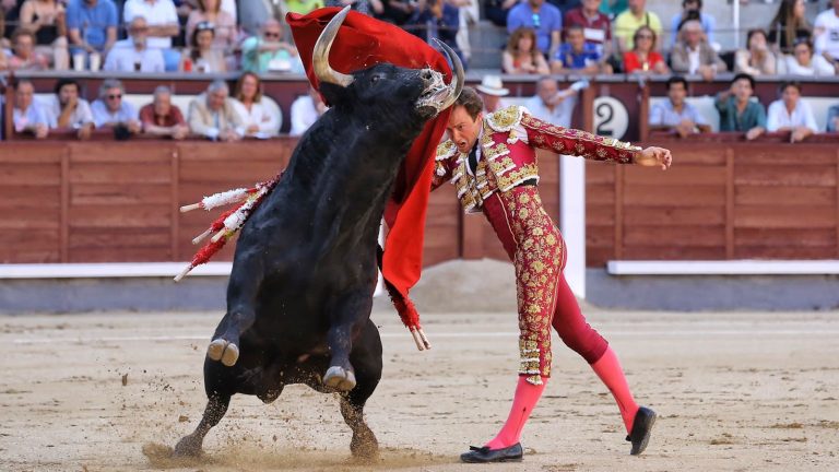 Román Collado con nuevo apoderado: