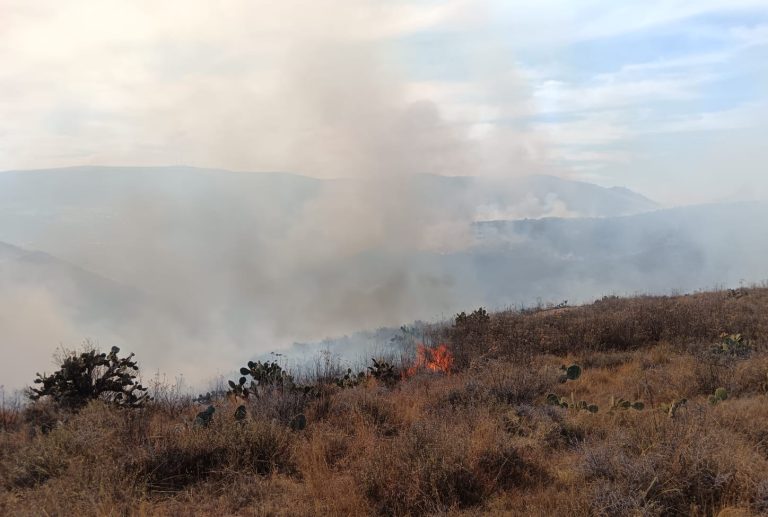 Consume fuego más de 15 hectáreas del Ecoparque