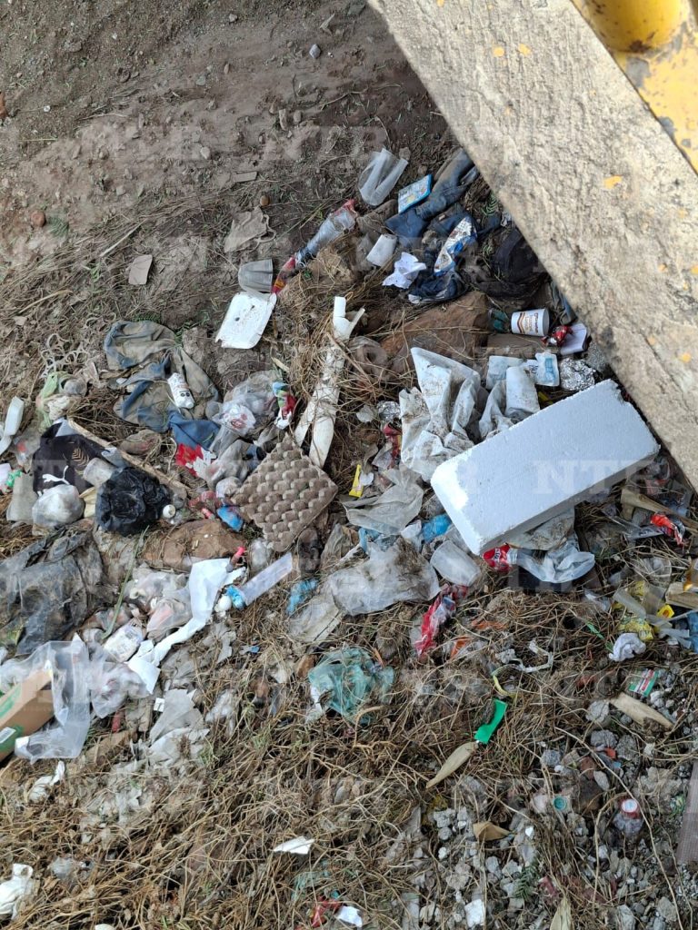 Se acumula basura y proliferan las ratas