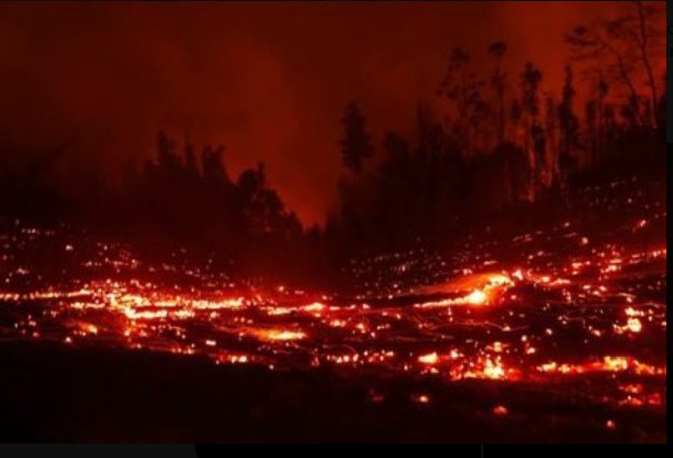 Anuncia Argentina la extinción de 22 de los 32 incendios