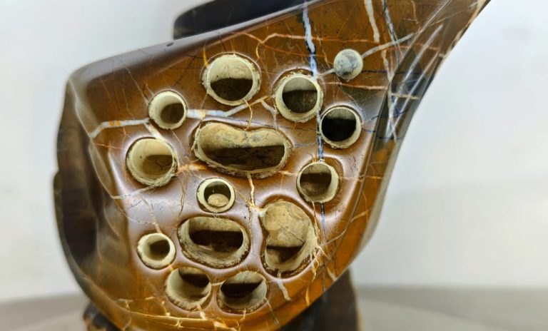 Descubre esculturas biomórficas en Organismos