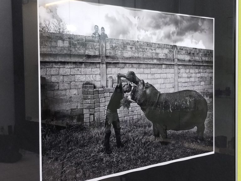 Lanzan convocatoria de concurso fotográfico