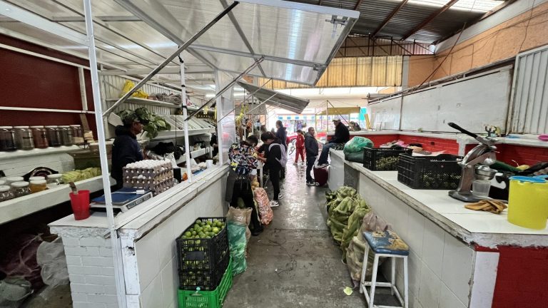 Mercados en crisis: caen 50% las ventas