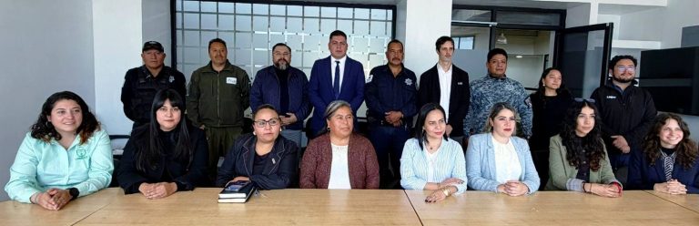Implementan Fuerza de Tarea contra la violencia familiar