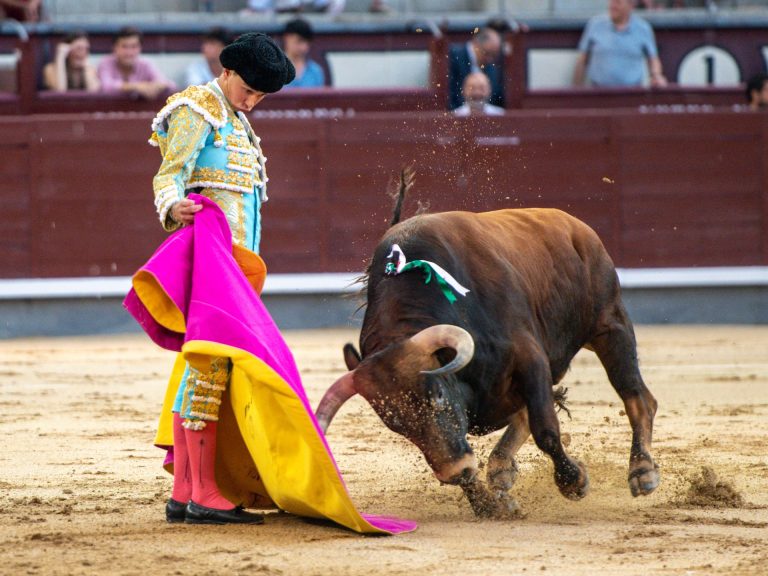 Bruno Aloi, ante el reto de confirmar en Madrid
