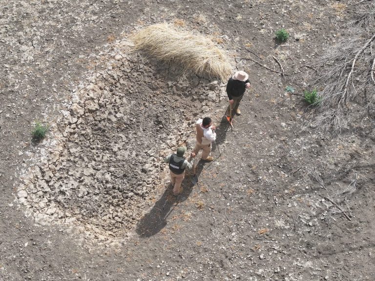 Realizan búsqueda forense en predios de Miguel Auza