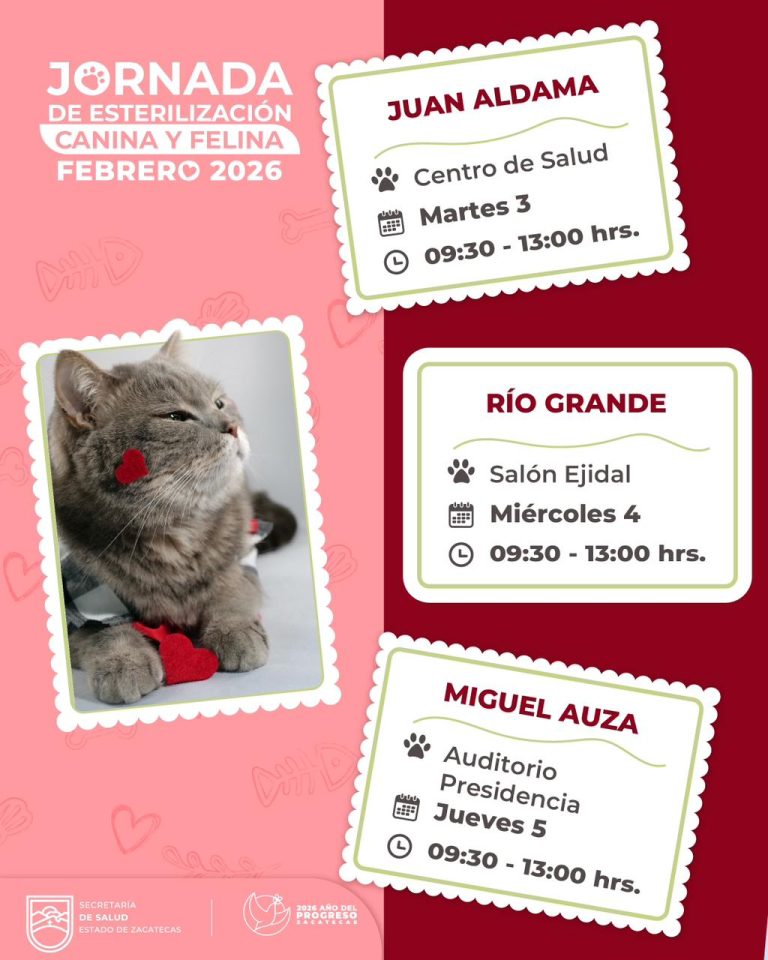 Realizarán cirugías de esterilización en la zona norte de Zacatecas