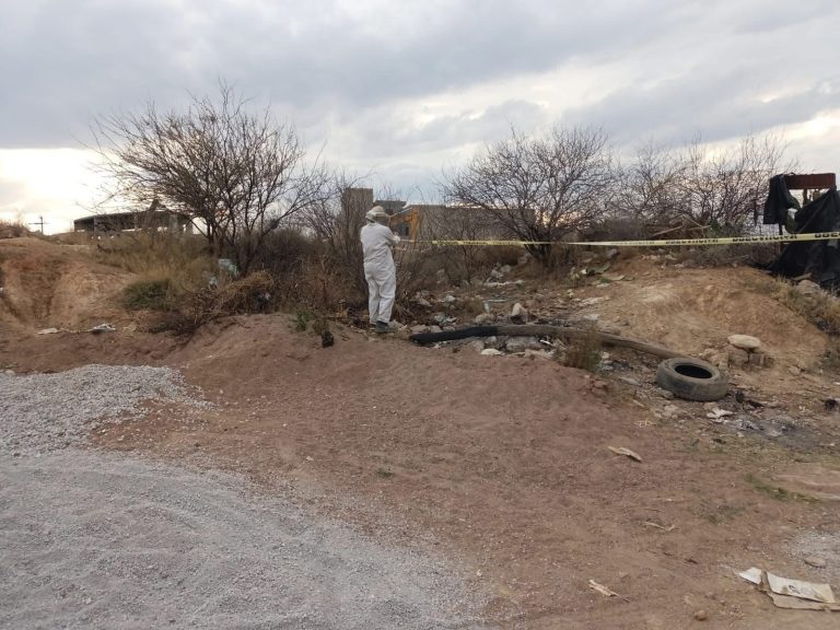 Trasladan a víctima a un hospital tras ataque de abejas