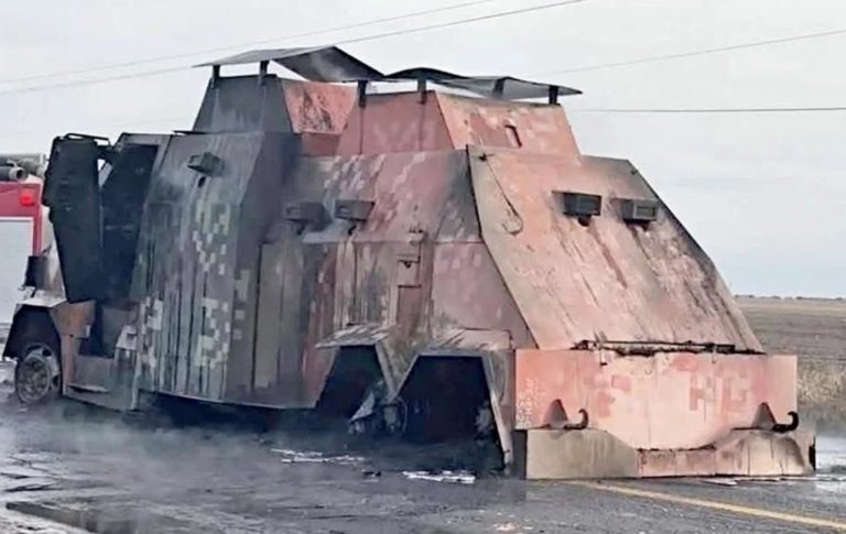 Decomisan 600 ‘monstruos’… y nadie sabe su origen
