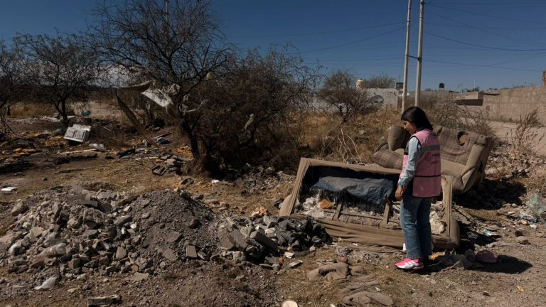 Investigan peleas de gallos clandestinas
