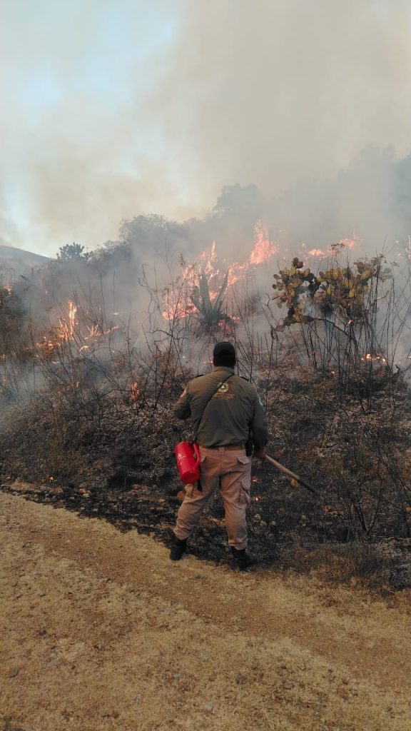 Se adelantan incendios a temporada