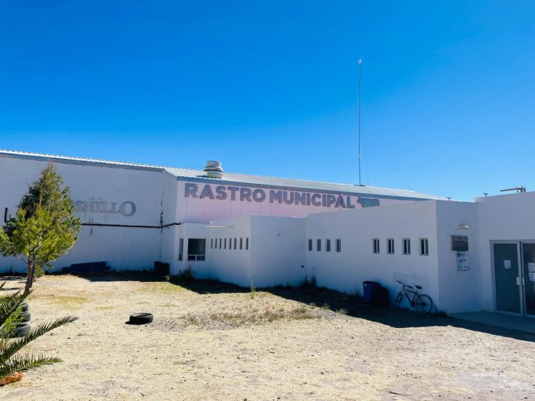 Disminuyen 20% sacrificios en rastro por Cuaresma