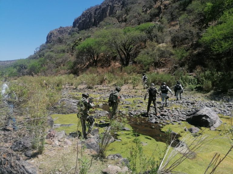 Llevan a cabo búsqueda en Villanueva