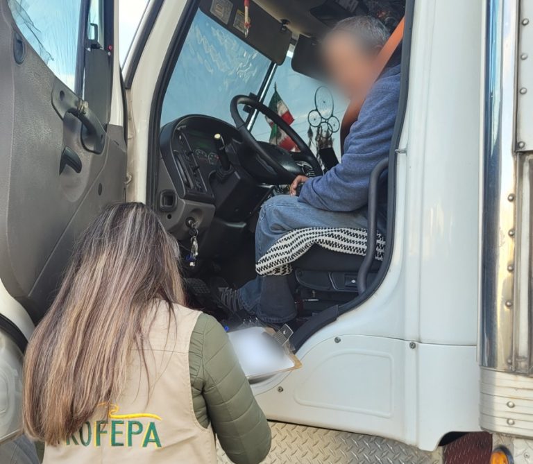 Realiza Profepa operativo carretero
