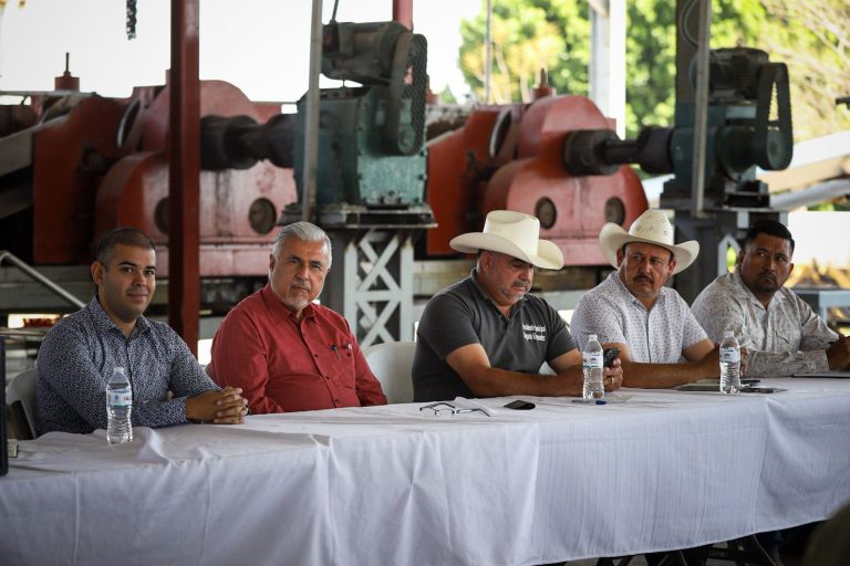 Crisis de agave deja pérdidas de 5,604 mdp
