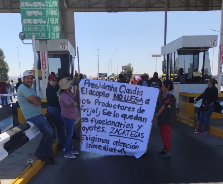Estamos hartos: productores de frijol