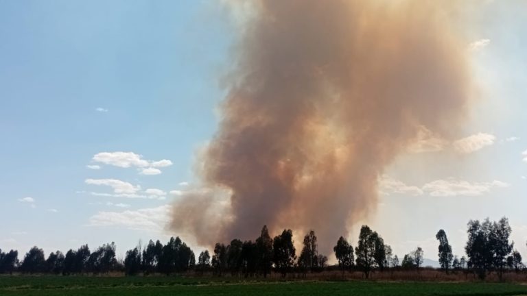 Incendios forestales arrasan predios en Ojocaliente