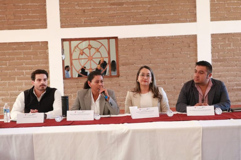 Realizan la sesión ordinaria de Copladert en la región III