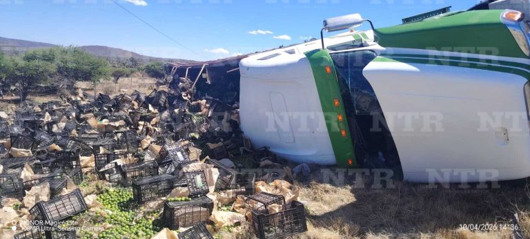 Vuelca camion de carga en la federal 45