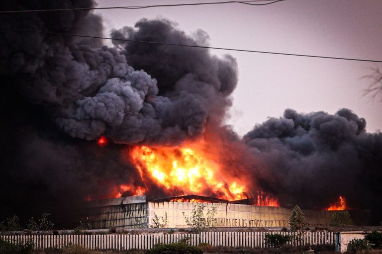 Arde Alimentación para el Bienestar