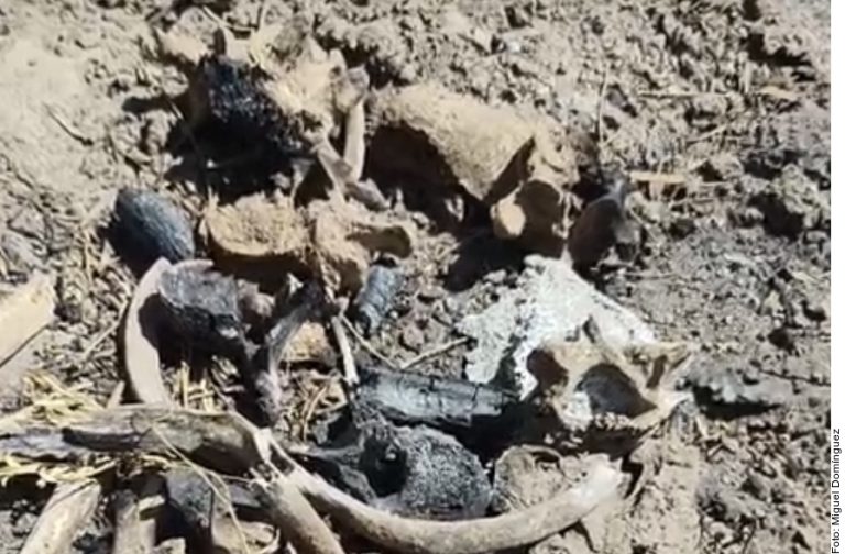 Descubren campo de exterminio en Tamaulipas