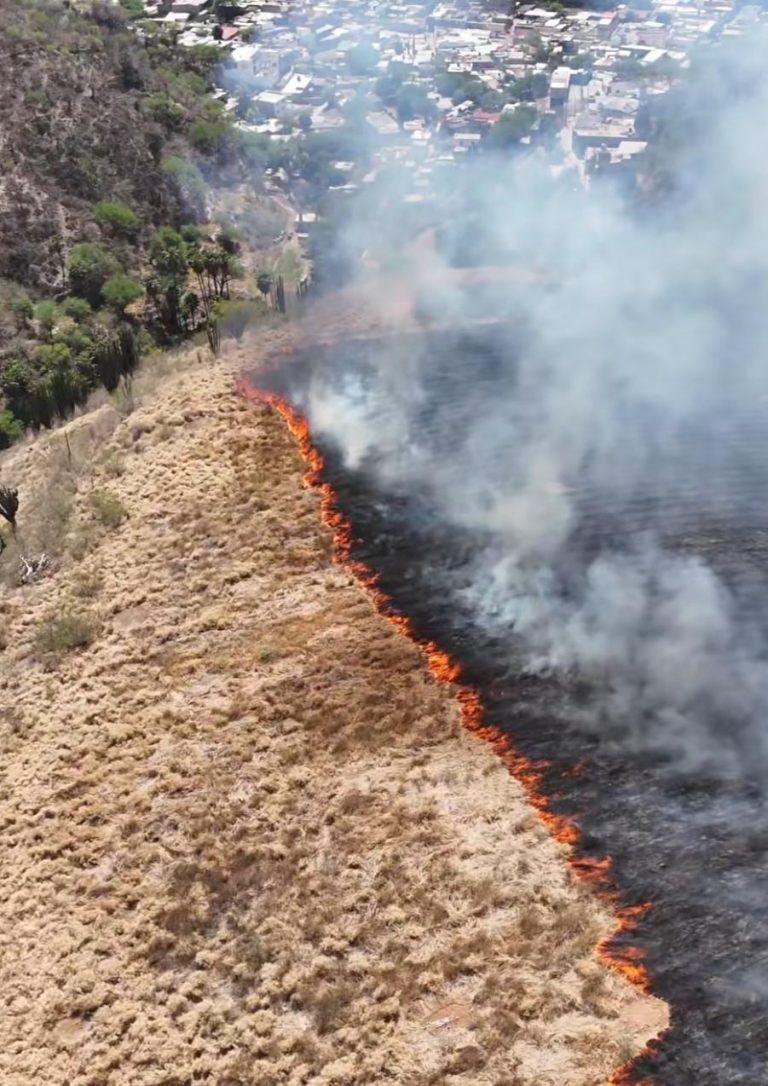 Amenaza incendio a huertas de Apozol