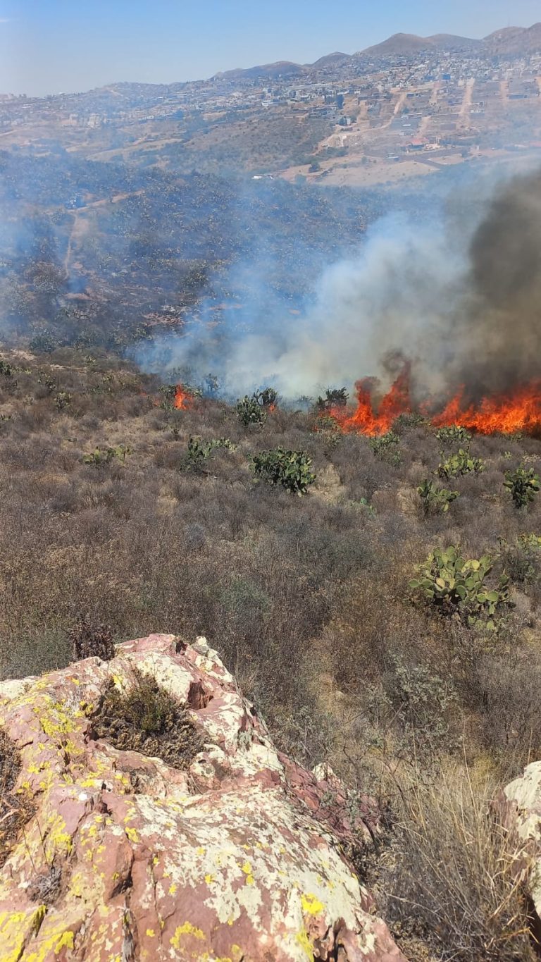 Incendio afecta inmediaciones del cerro de la Virgen
