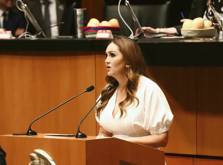 La vivienda debe ser un derecho efectivo: Geovanna Bañuelos