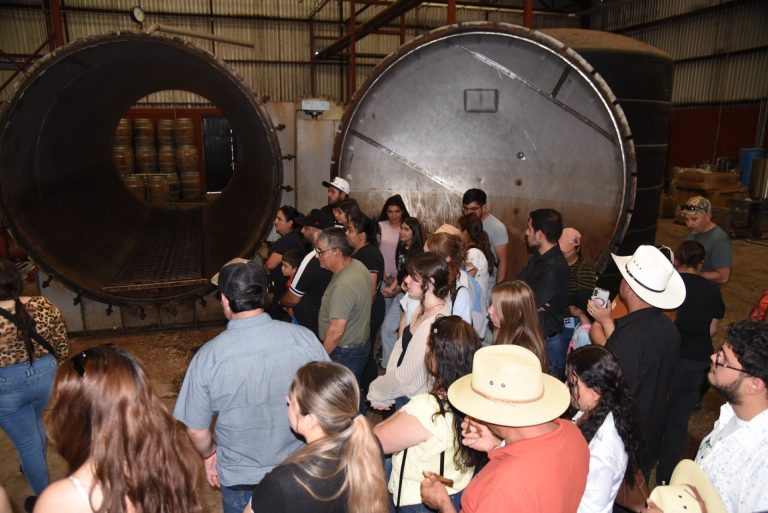 Disfrutan la Feria del Limón y del Mezcal