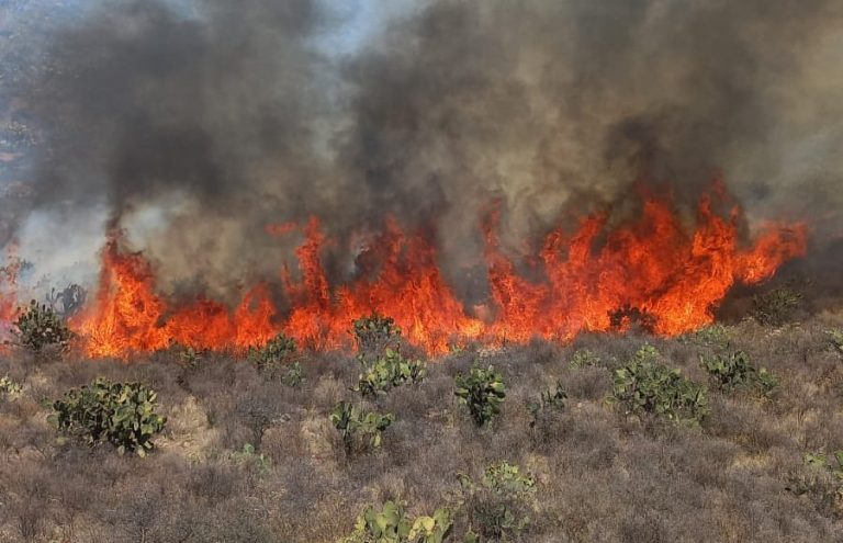 Incrementan 140% los incendios forestales