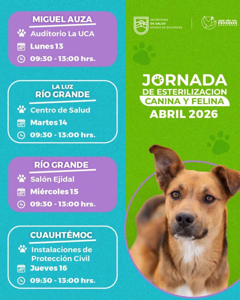 Jornadas de esterilización canina y felina llegarán a tres municipios