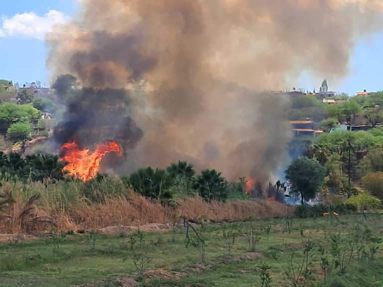 Prevén una complicada temporada de incendios en Juchipila
