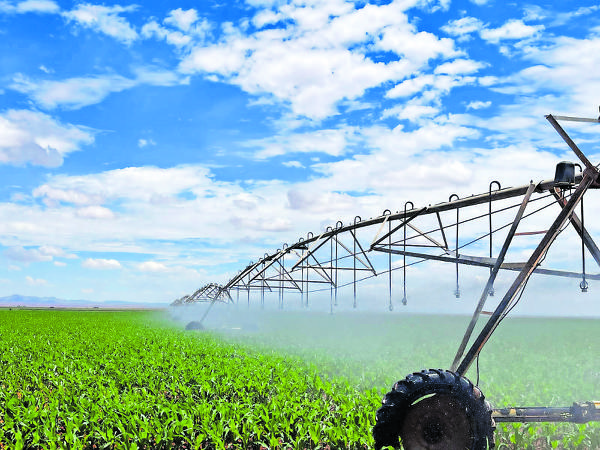 Piden productores prórroga en el Peua