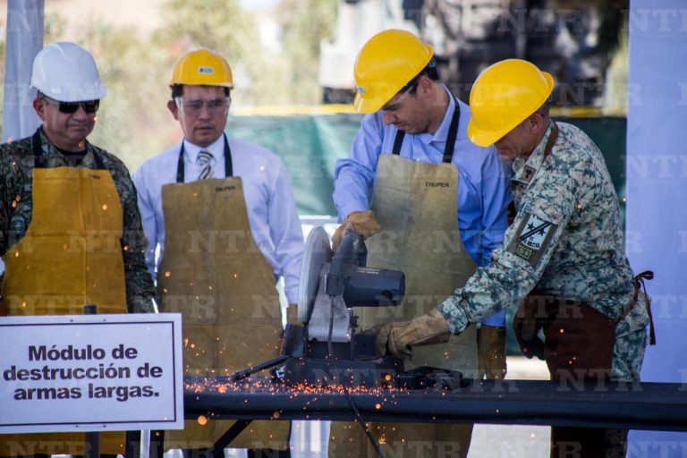 Ejército destruye 198 armas decomisadas