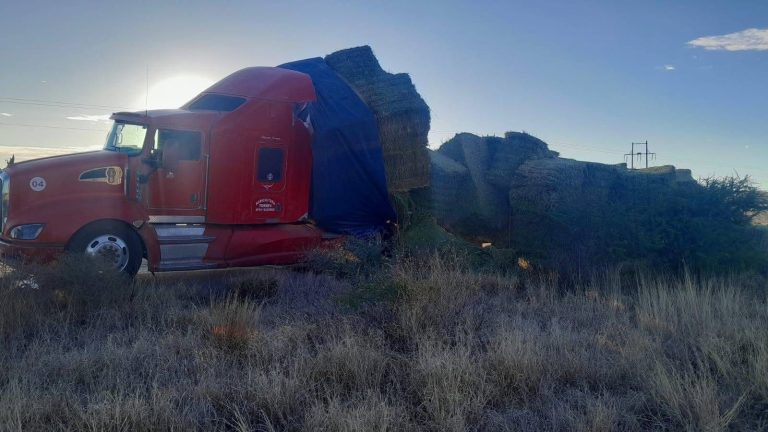 Choca camión en carretera y termina regada su mercancía