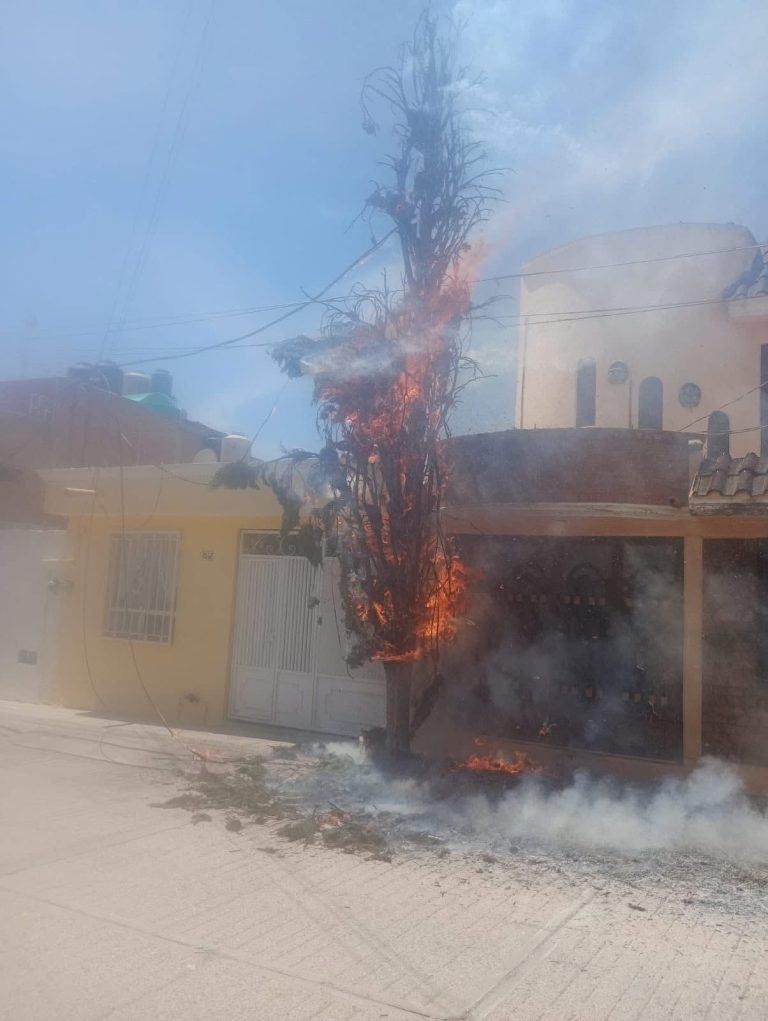 Se incendian dos árboles en Valle del Conde
