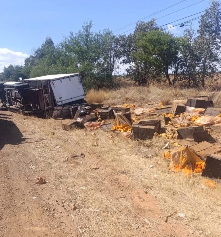 Camioneta que transportaba pollos se sale del camino