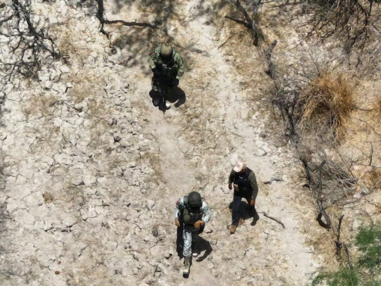 Reportan resultados positivos en búsqueda forense en Jalpa
