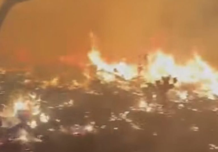 Sofocan fuego en Efigenia; daña 850 hectáreas