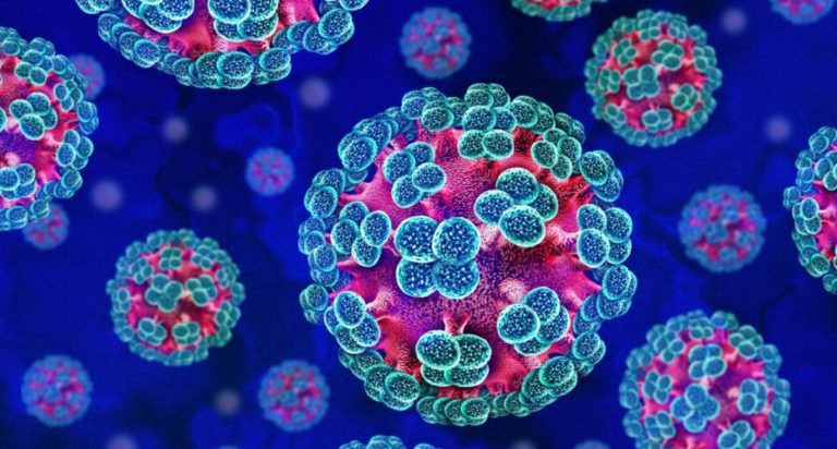 Dan 4 personas en Italia negativo por hantavirus